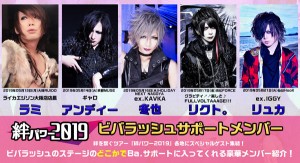 V - ビバラッシュ「絆パワー2019」サポートベーシストWEBフライヤー(2019.04)